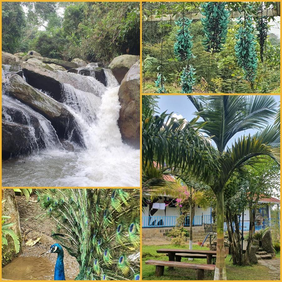 Finca Jardin Del Agua Sasaima Exterior foto