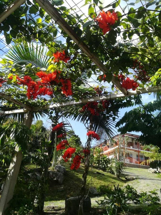Finca Jardin Del Agua Sasaima Exterior foto